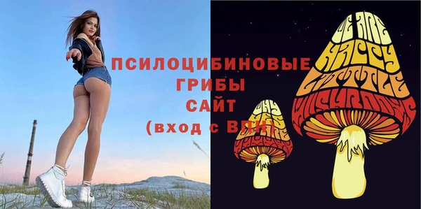 ГАЛЛЮЦИНОГЕННЫЕ ГРИБЫ Алексеевка