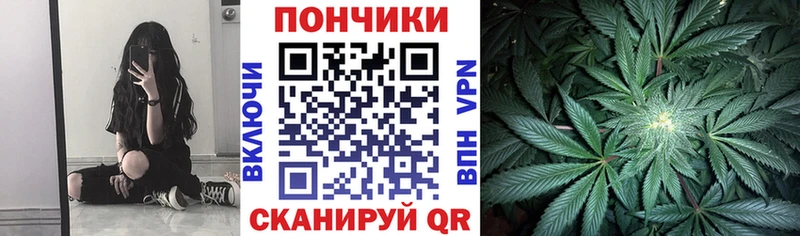 Бошки Шишки план Губкин